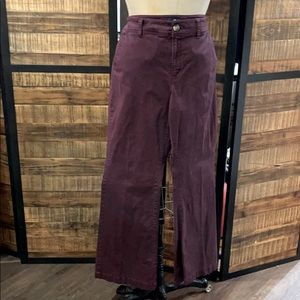 NWOT AEO Stretch kick boot chinos